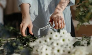 tips to make a successful cut garden