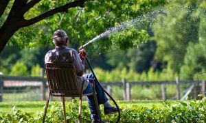 gardening in the heat shade