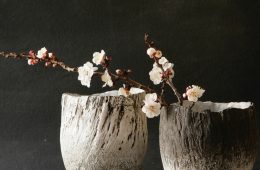 kim sacks botanical art exhibition 2022