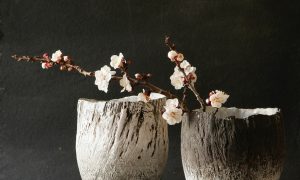 kim sacks botanical art exhibition 2022