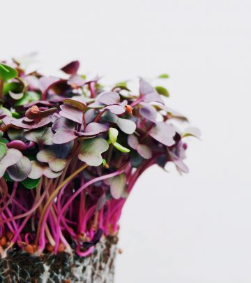 how to grow microgreens