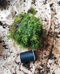 DIY MOSS BALL