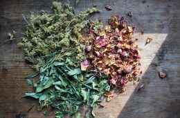 dried herbs