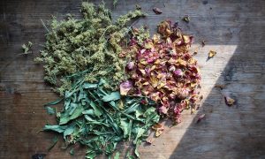 dried herbs