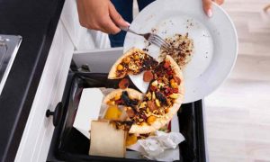 FOOD WASTE SOUTH AFRICA