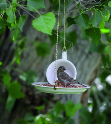 teacup diy ideas