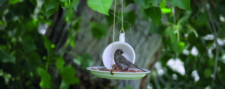 teacup diy ideas