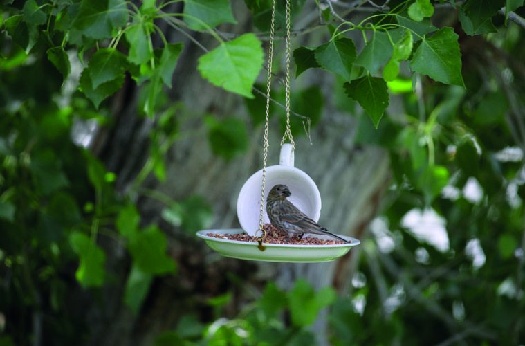 teacup diy ideas