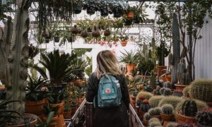 the dark side of succulents