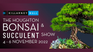 waterwise succculent garden houghton bonsai show