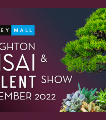 waterwise succculent garden houghton bonsai show