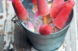 Watermelon and vodka ices