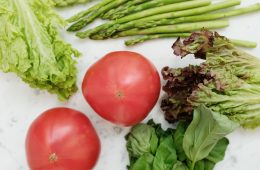 Veggie garden