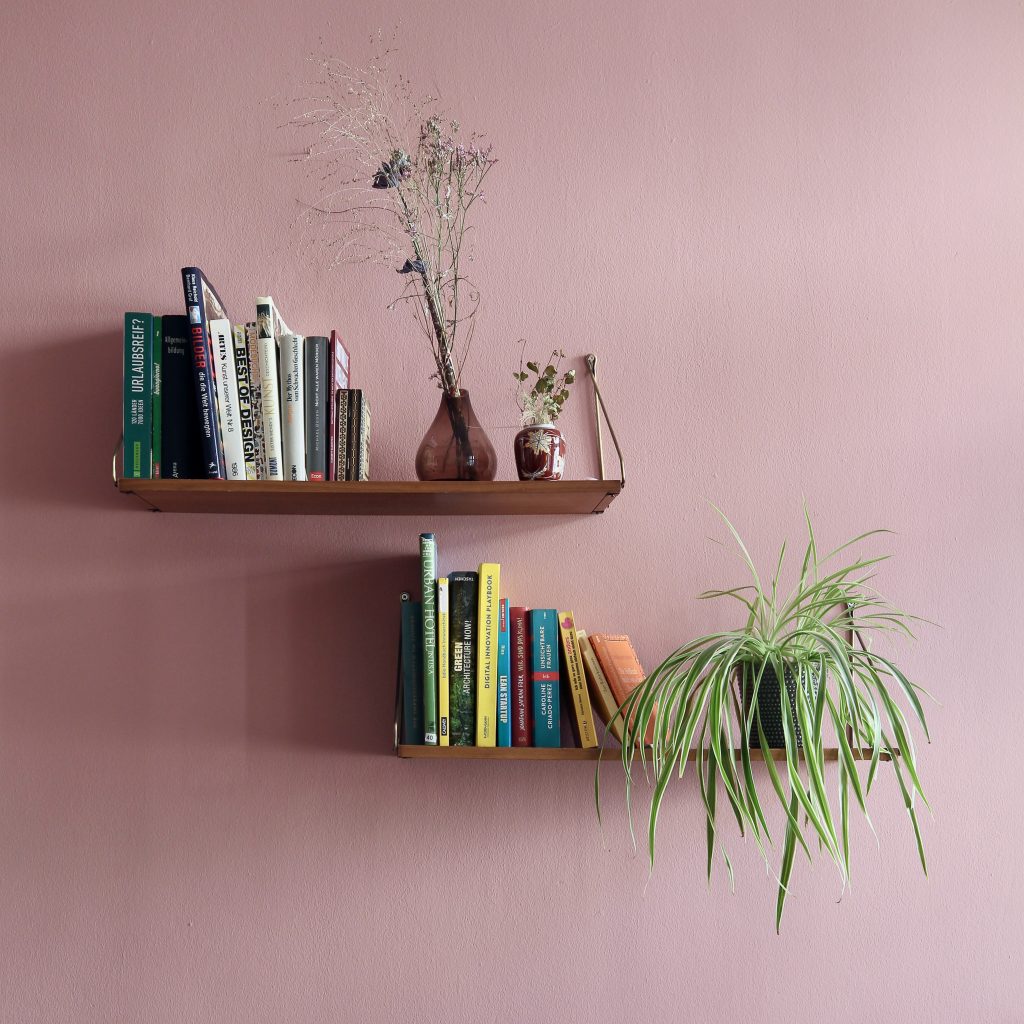 shelf with books and plants
