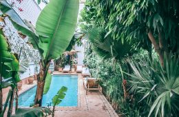 pool area tropical