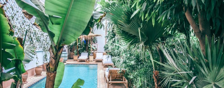 pool area tropical