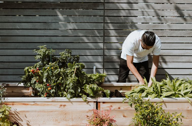 vegetable garden mulch