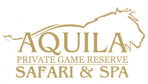 aquila logo