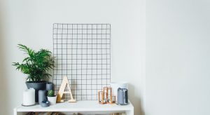 basic white background with green plant on a desk