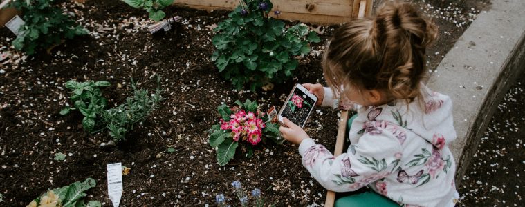 kids in the garden