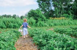 a kid with a bucket in a big garden