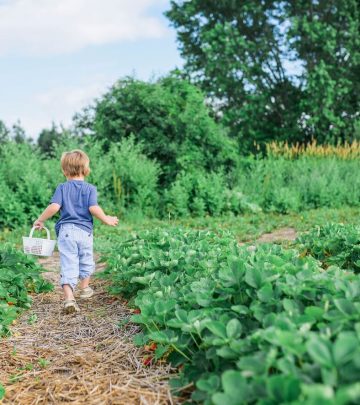 a kid with a bucket in a big garden