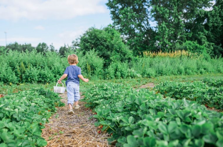 a kid with a bucket in a big garden