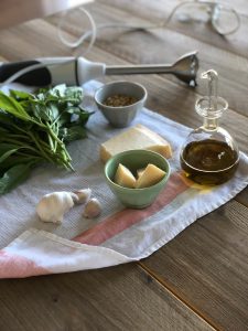 benefits of planting basil