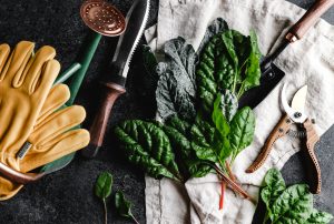 winter garden tools