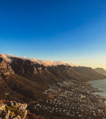 the view of cape town from lion's head