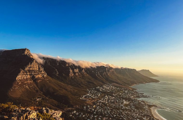 the view of cape town from lion's head