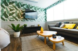 a room with vibrant tables, indoor plants