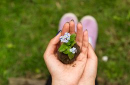 a woman's hand holding a plant