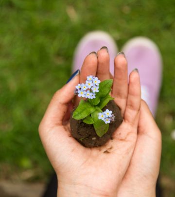 a woman's hand holding a plant