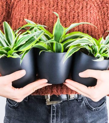 a woman holding three pot plants