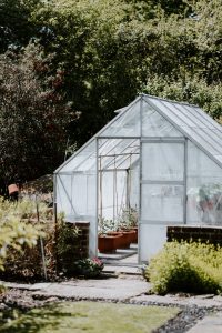 tiny greenhouse