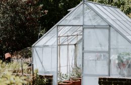 tiny greenhouse