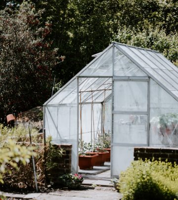 tiny greenhouse