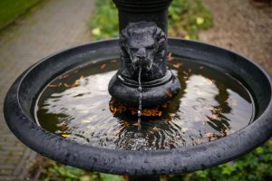 smart garden features