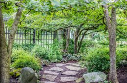 stone landscaping