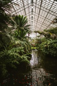 greenhouse garden