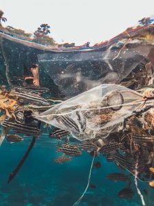 fish caught in plastic in the ocean