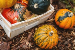 winter squash