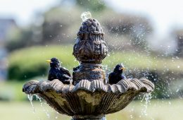 garden water feature