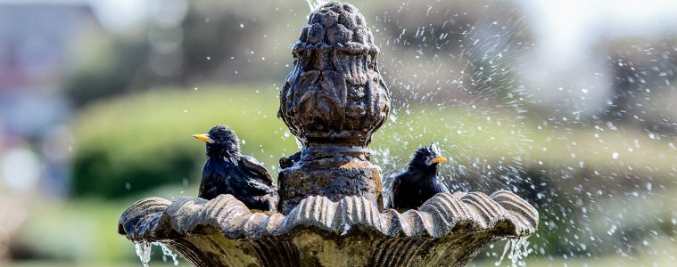 garden water feature