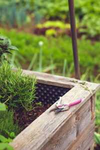 a raised garden bed