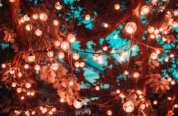 Fairy lights outdoors