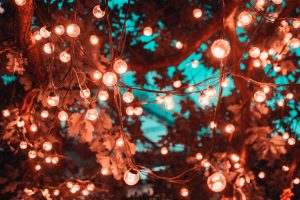 Fairy lights outdoors