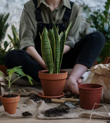 Planting in pots