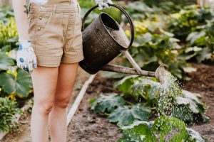 Water loving plants